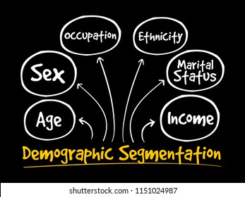 Demographic segmentation mind map flowchart social concept for presentations and reports