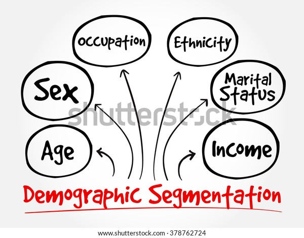 Demographic Segmentation Mind Map Flowchart Social Stock Vector ...