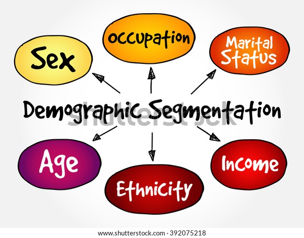 Demographic Segmentation Mind Map Flowchart Social Stock Vector ...