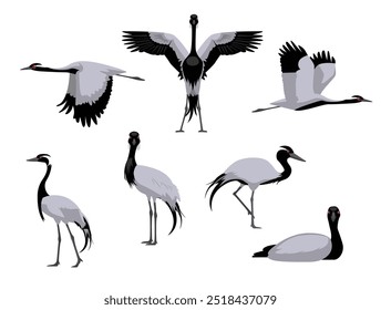 DEMOISELLE CRANE Bird Exotic Various Poses Cartoon Vector Character