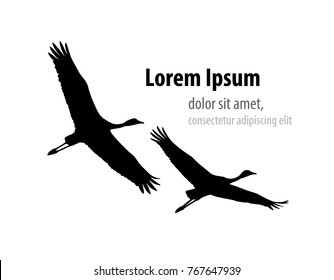 Demoiselle crane (Grus virgo) in flight silhouette. Template design for banner, t-shirt, cover.