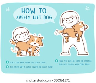 Demonstrate how to safely lift dog cartoon style vector