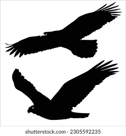 Demonstrating territorial behavior, the eagle activities vector depicts the bird in a display of dominance. With wings spread wide and a fierce expression.