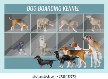 Demonstration Of Different Breeds Of Hunting Dogs In A Dog Boarding Kennel. Vector Illustration In Realistic Style