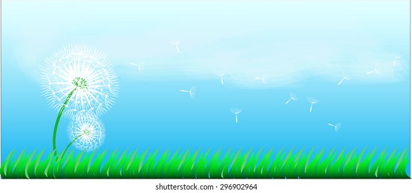 dendelion and grass on blue sky background,vector illustration