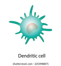 Célula dendrítica del sistema inmunitario, célula microscópica manchada, ilustración vectorial.