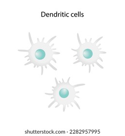 Dendritic cell of immune system, stained microscopic cell, vector illustration.