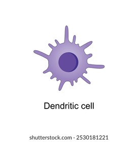 Dendritic cell of immune system, stained microscopic cell, vector illustration.
