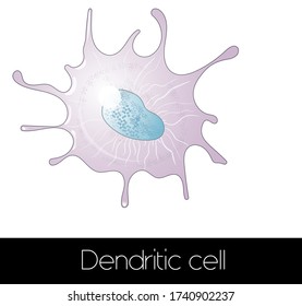 Dendrite Dendrites’ Clues