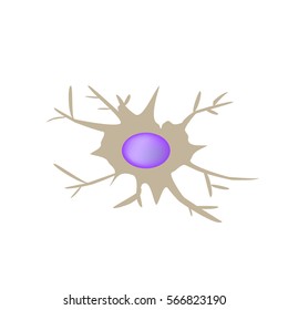 Dendritic cell immunity. Infographics. Vector illustration on isolated background.