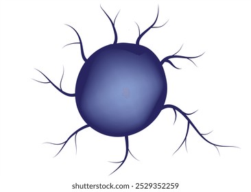 Células dendríticas (tipo especial de célula inmunitaria que se encuentra en los tejidos, como la piel, y aumenta las respuestas inmunitarias al mostrar antígenos en su superficie a otras células del sistema inmunitario)