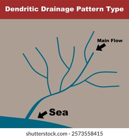 Dendritic Drainage Pattern Type. Landform and water flow geography education infographic vector illustration