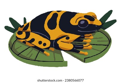 Dendrobates leucomelas. La rana de dardo envenenada se sienta en las hojas de lirio acuático. Tela venenosa de bosque, sapo manchado amarillo. Animales anfibios, peligrosa fauna tropical. Ilustración vectorial aislada plana en blanco