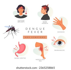 Dengue Fever (DENV) - Key Symptoms - Stock Illustration as EPS 10 File