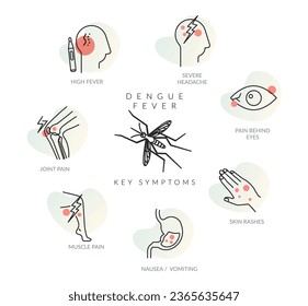 Dengue Fever (DENV) - Key Symptoms - Stock Illustration as EPS 10 File