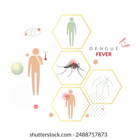 Dengue Fever (DENV) - Key Symptoms and Social Context  - Stock Illustration as EPS 10 File