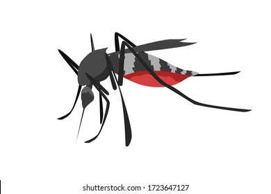 Dengue Fever stop concept ,vector of mosquito sucking blood, illustration of a mosquito full of blood