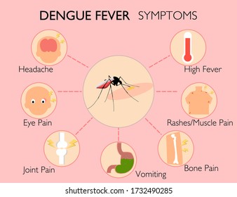 Síntomas de fiebre dengue infografía El mosquito causa fiebre del dengue