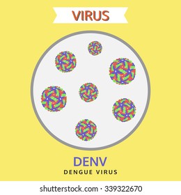 dengue virus, denv virus, vector illustration