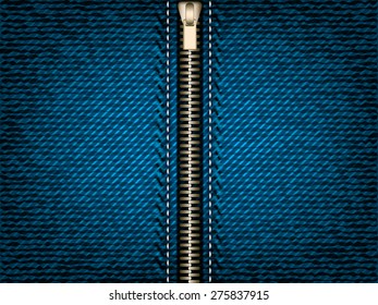 Denim jeans zipper, vector part of clothes