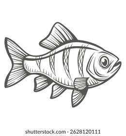 Denison Barb Peixe Linha Arte Ilustração