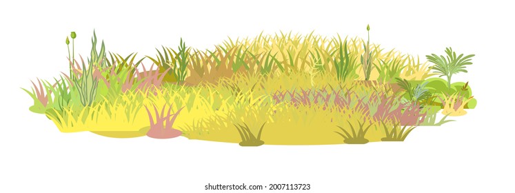 Dense autumn meadow. Herbal yellowing thickets. Grass area. Beautiful and graceful landscape. Isolated on white background. Flat style. Cartoon design. Vector