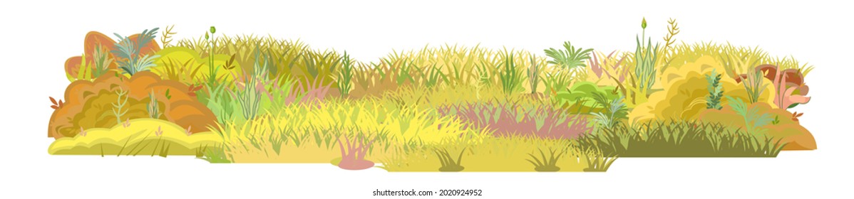 Dense autumn meadow. Herbal yellowing thickets. Grass area. Beautiful and graceful landscape. Isolated on white background. Flat style. Cartoon design. Vector