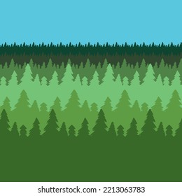 dichte Nadelwälder am Horizont