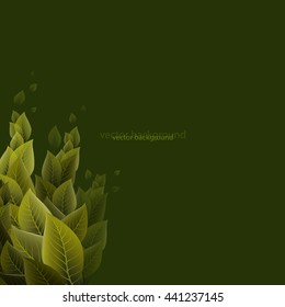 dense foliage on a green background,vector.
shrub  and juicy green leaves on a green background