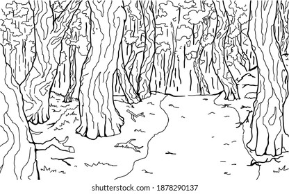 Dense forest footpath line drawing background, vector, horizontal, black and white
