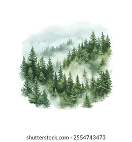 dense forest with mist vector illustration in watercolor style