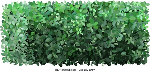 Dense green foliage forms a natural hedge, providing privacy and a lush backdrop. The variety of leaf shapes and shades of green create a vibrant, textured appearance ideal for gardens