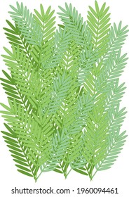 dense green foliage, vector illustration