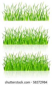 ilustración del vector de césped verde denso aislado en fondo blanco