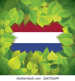 Dense, green leaves over the flag of the Netherlands