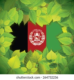 Dense, green leaves over the flag of Afghanistan
