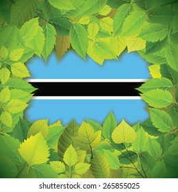 Dense, green leaves over the flag of Botswana