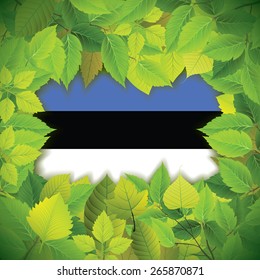 Dense, green leaves over the flag of Estonia