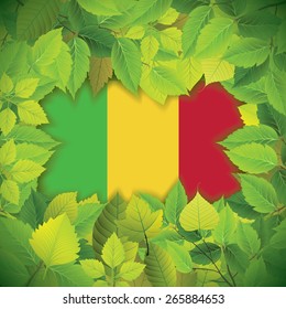 Dense, green leaves over the flag of Mali