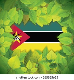 Dense, green leaves over the flag of Mozambique