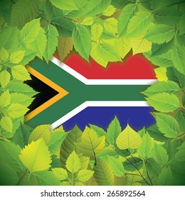 Dense, green leaves over the flag of South Africa