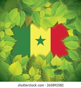 Dense, green leaves over the flag of Senegal