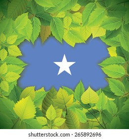 Dense, green leaves over the flag of Somalia