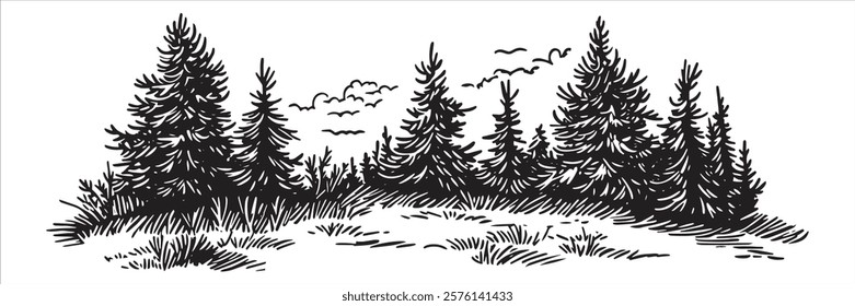 dense pine forest with open grassy clearing in black and white hand-drawn style