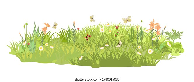 Dense summer meadow with flowers. Butterflies. Grassy lawn green thickets. Grass area. Playground. Place. Beautiful landscape. Isolated on white background. Flat style. Cartoon design. Vector
