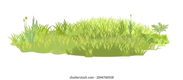 La densa pradera de verano. Grossos verdes de césped. Área de hierba. Zona de juegos. Un lugar. Un paisaje hermoso y elegante. Aislado sobre fondo blanco. Estilo plano. Diseño de caricaturas. Vector.