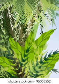 Dense thickets of ferns and vines in the jungle