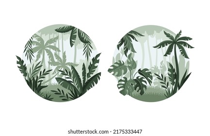 Dense tropical forest landscape. Rainforest jungle misty landscape round shaped design vector illustration