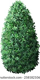 Dense, vibrant green leaves form a conical bush, showcasing natural beauty and symmetry. Ideal for garden design, landscaping, and nature themed projects