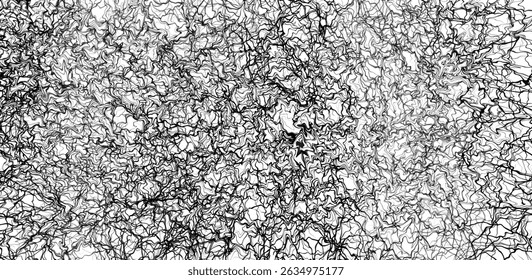 A dense web of lines and swirls on a light background. Visually resembles a weave of capillaries or graphite lines